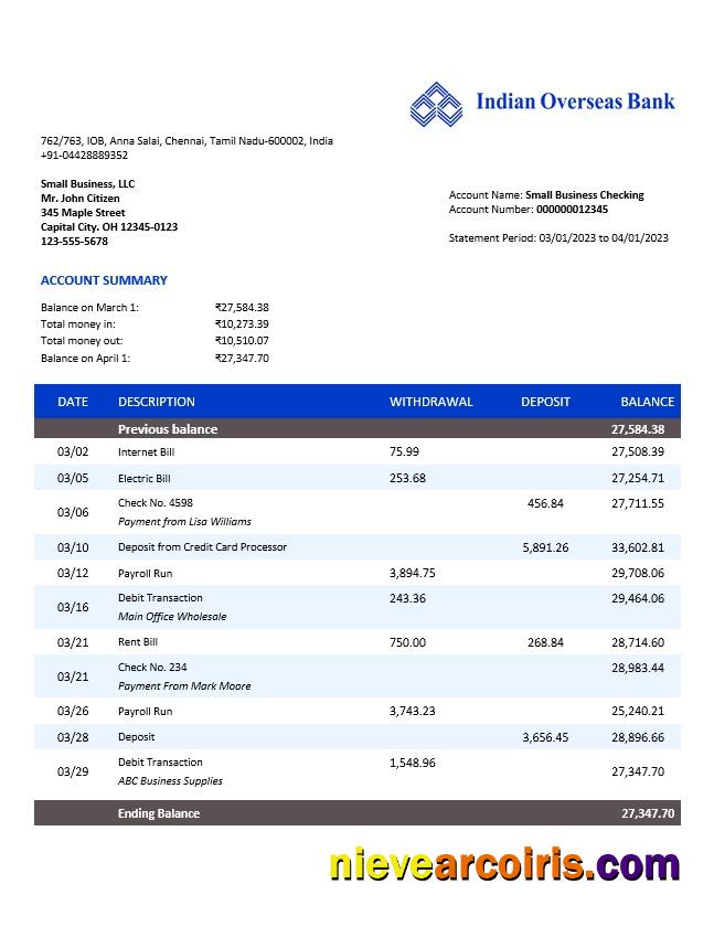 Indian Overseas Bank organization account statement